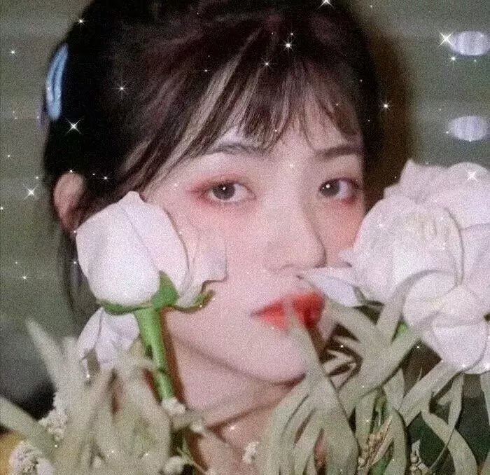遥远的格桑花